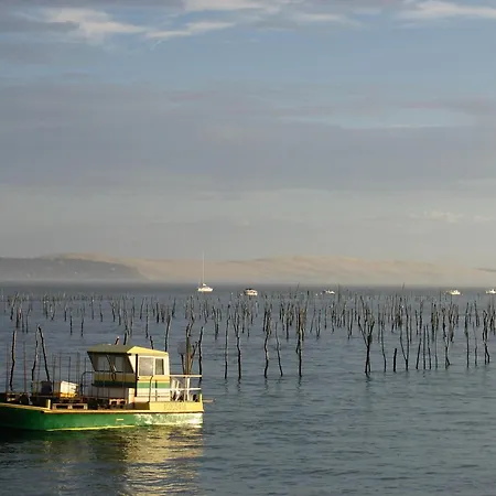 Апартаменты 